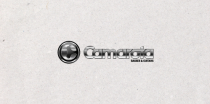 Camarota Basses & Guitars