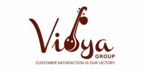 Vidya Group