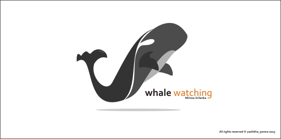Whale watching SriLanka
