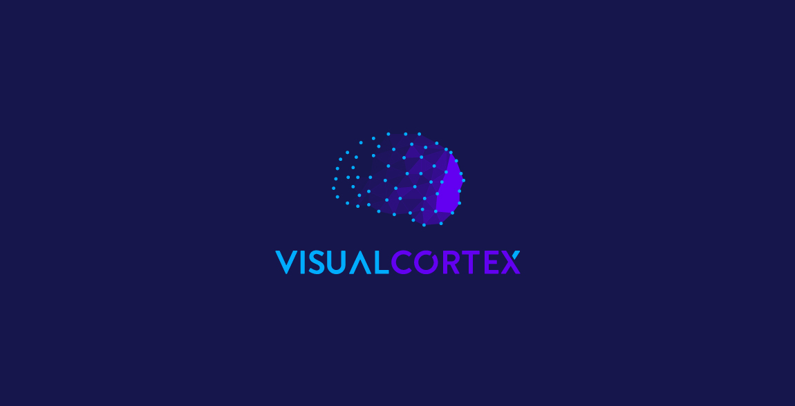 Visual Cortex