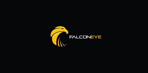 Falcon Eye