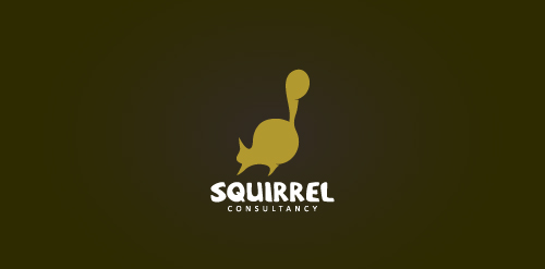 Squirrel Consultancy