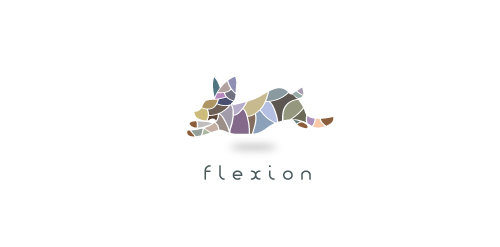 FLEXION