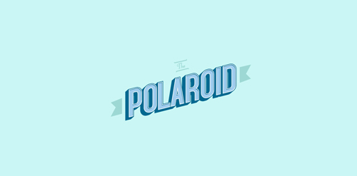 The Polaroid