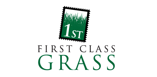 First Class grass