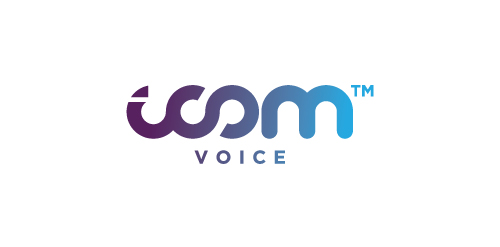 icom voice