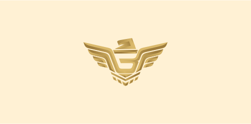 Bowo Aviation Security