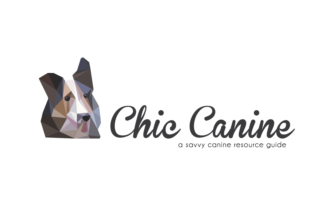 Chic Canine