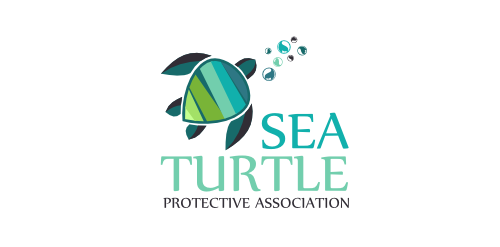 Sea turtle