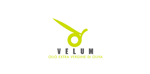 Velum