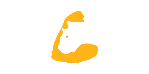 TigerFit