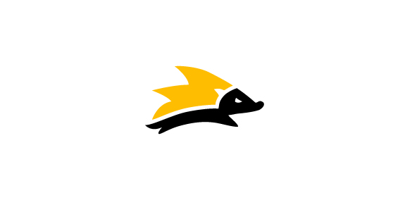 HYPER HEDGEHOG